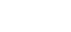 Holidaily Brewing Co